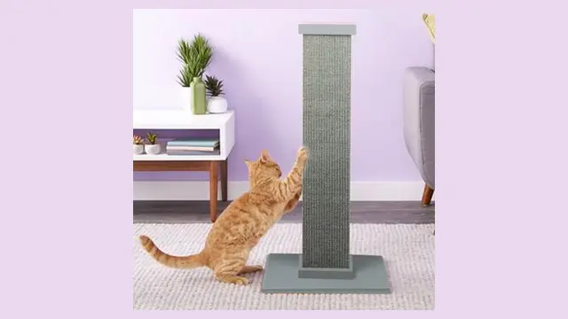SmartCat Ultimate Scratching Post