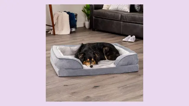 Furhaven Orthopedic Sofa