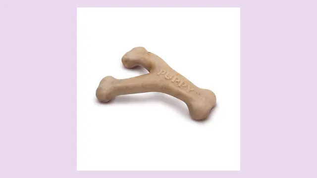Benebone Puppy Wishbone
